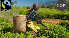 Kopi Fairtrade Fortnight 2012